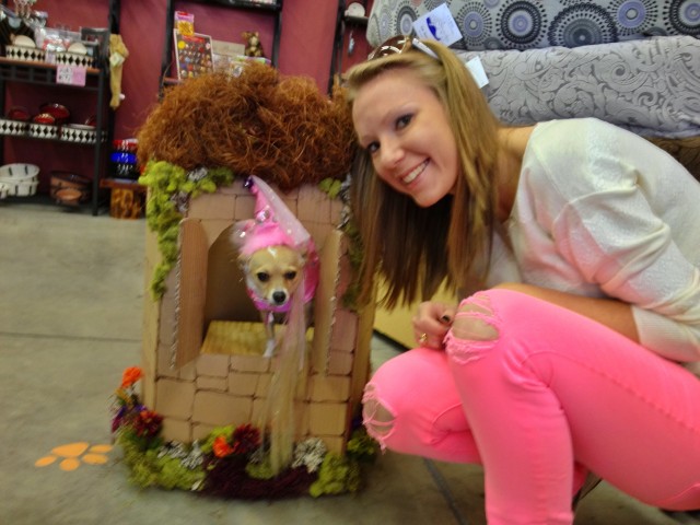 Kat and Pixie at Scraps Dog Company (Mae Anne Ave.)